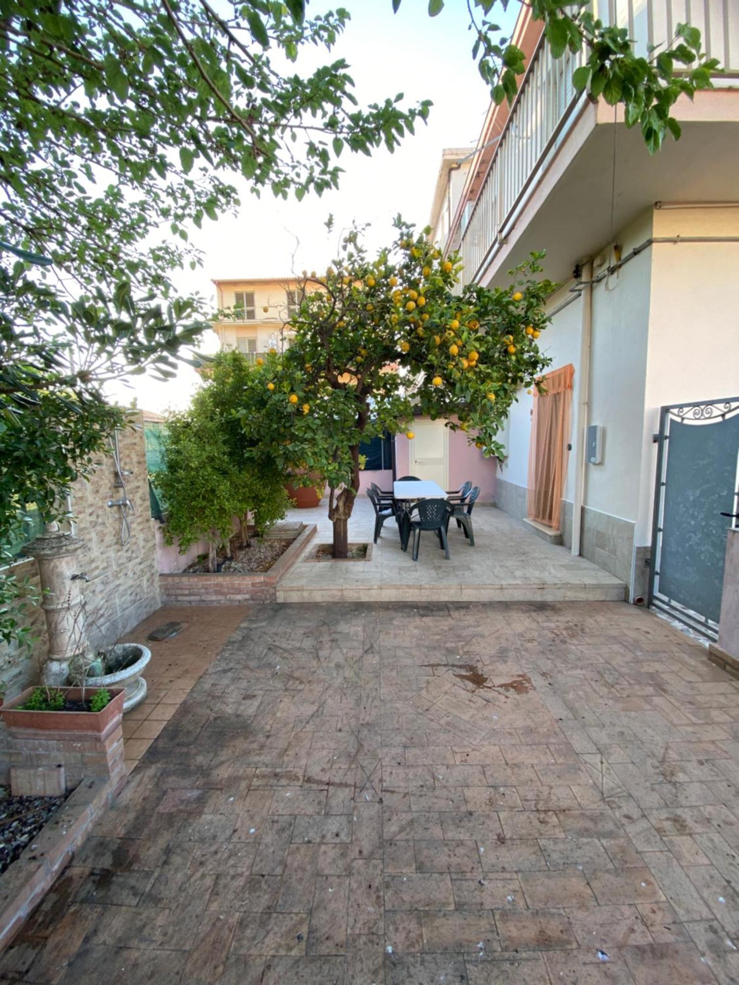 L'Albero Di Limoni Sul Mare Di Pizzo Villa Exterior photo